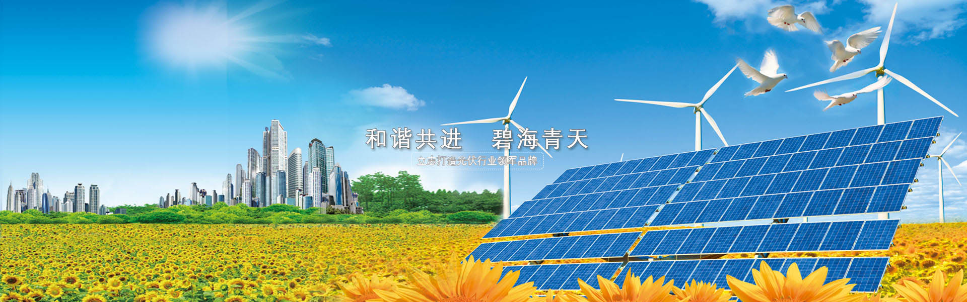 諸城市德龍環保科技有限公司